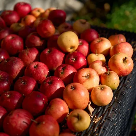 Kwatera prywatna Pod Tatrami *