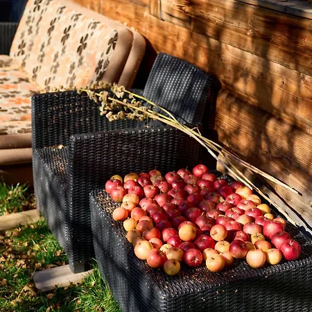 Kwatera prywatna Pod Tatrami Zakopane