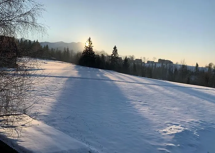 Slebodny Uplaz Проживание в семье