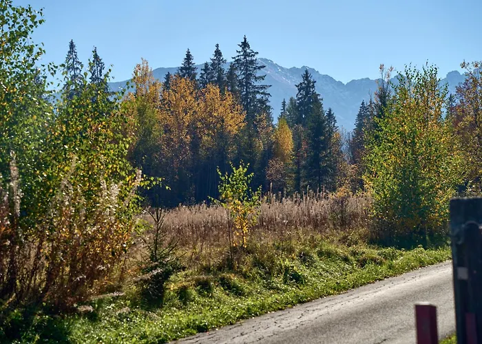 Slebodny Uplaz Проживание в семье *
